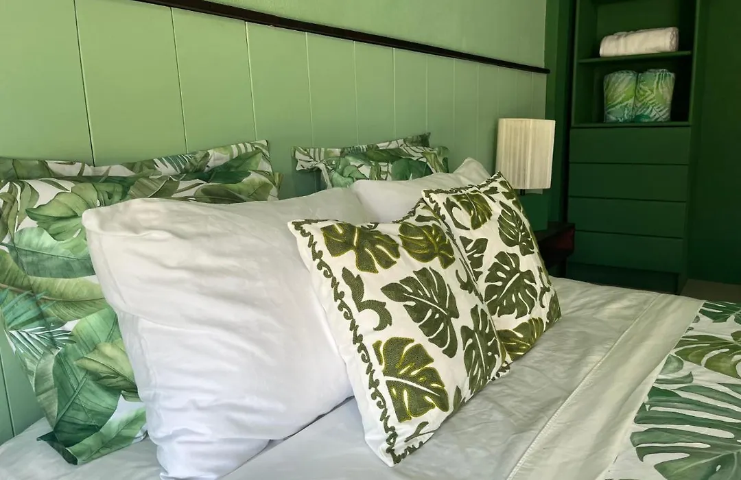 Dici Co-Living Housing Cabo San Lucas-1